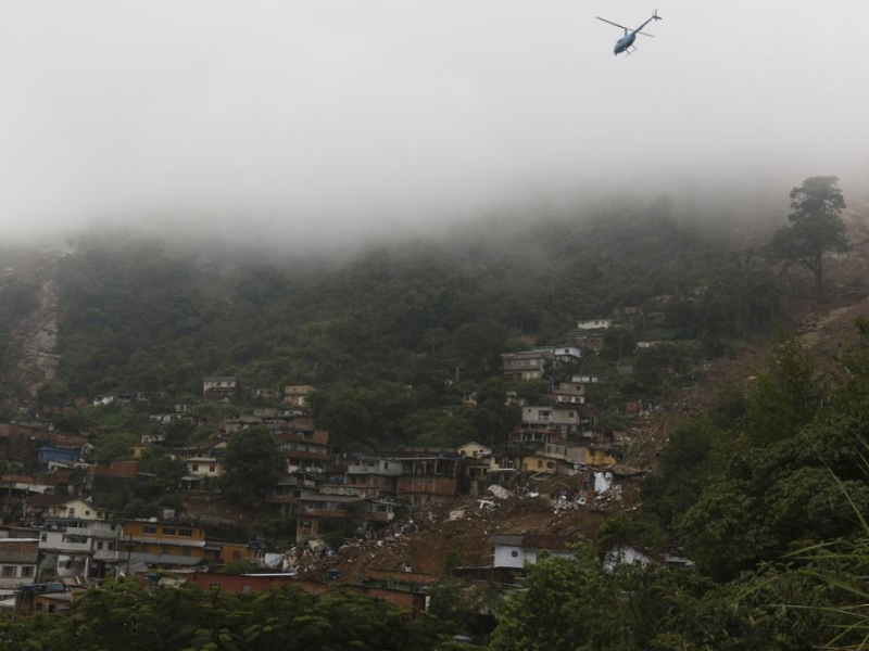 foto Notícia Cerejeiras